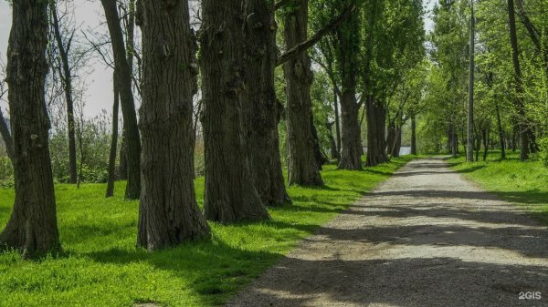 Парк зеленый остров в Краснодаре