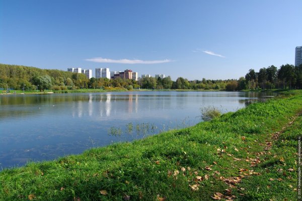 Школьное озеро Зеленоград