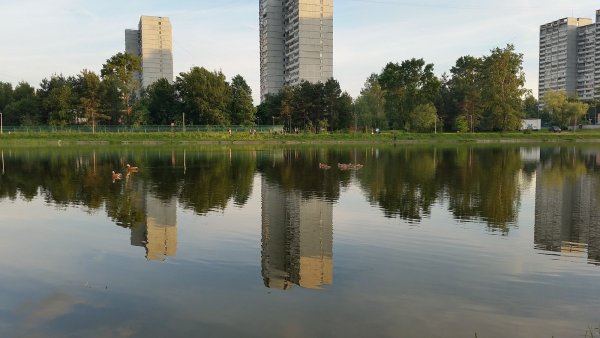 Ангстрем Зеленоград озеро