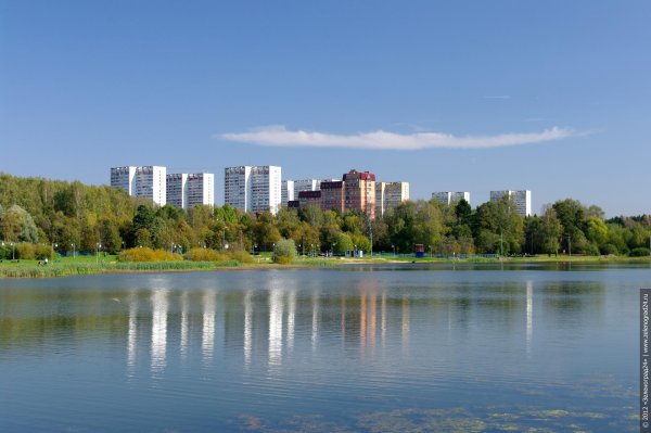 Школьное озеро Зеленоград