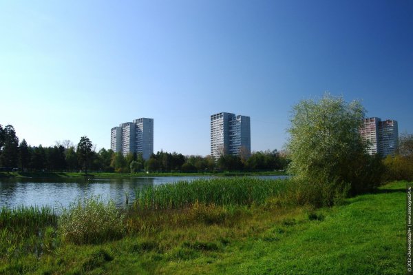 Школьное озеро Зеленоград