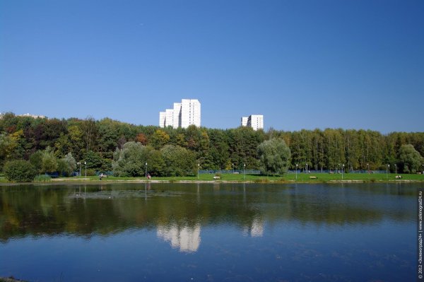 Школьное озеро Зеленоград