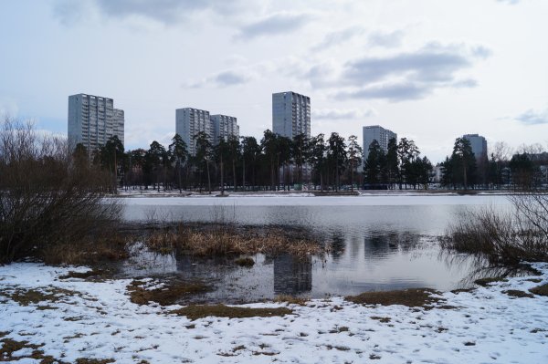 Школьный пруд Зеленоград
