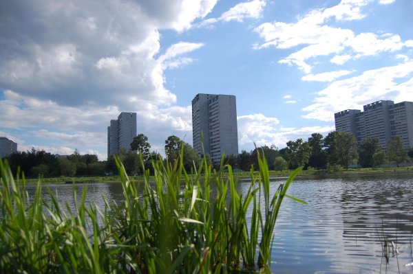 Школьное озеро Зеленоград