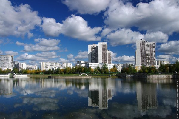 Зеленоград 15 микрорайон