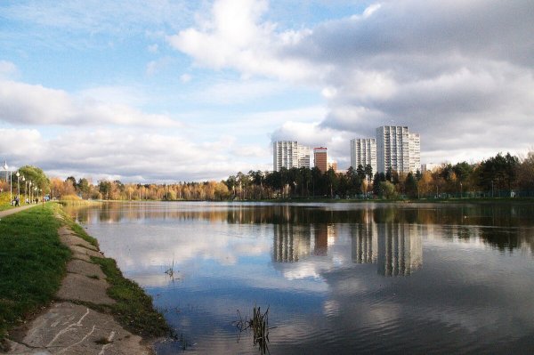 Пруд Ангстрем Зеленоград