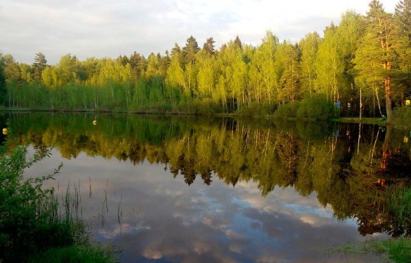Черное озеро Савелки