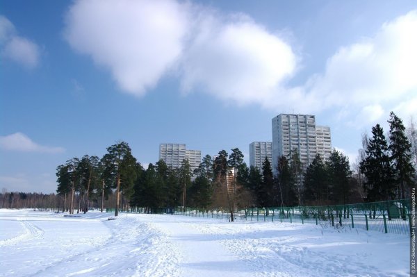 Зеленоград Лесопарковая зона