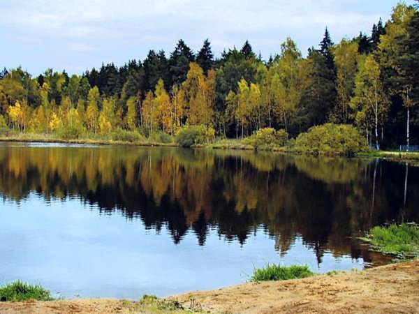 Черное озеро Воря Богородское