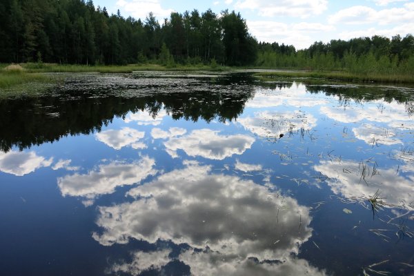 Черное озеро Зеленоград