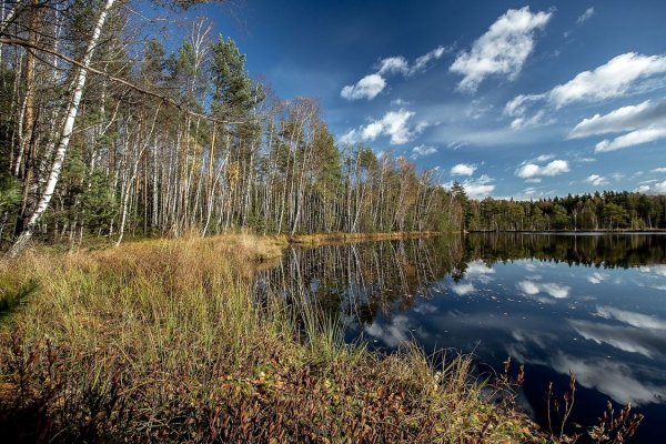 Озеро чёрное Московская область