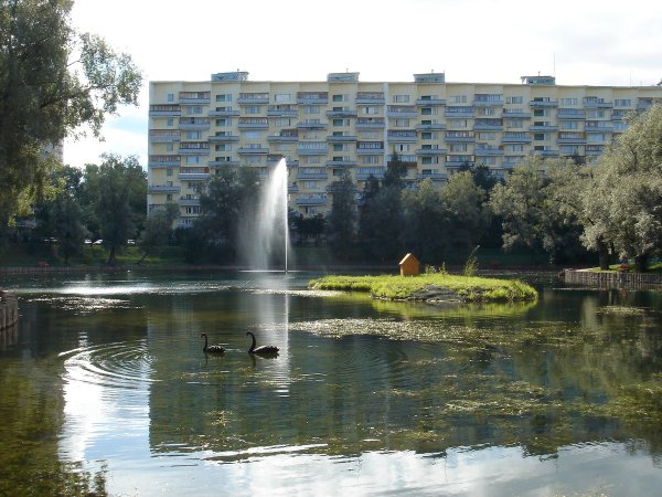 Пруд Быково болото Зеленоград