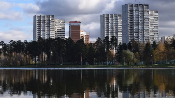 Кто обитает в 5 районе Зеленоград