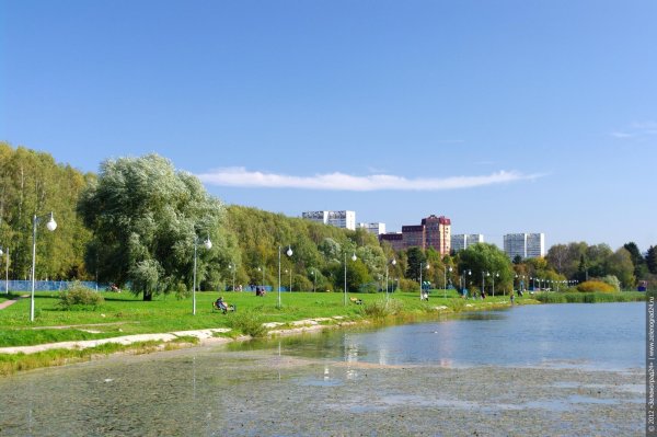 Парк Ровесник Зеленоград