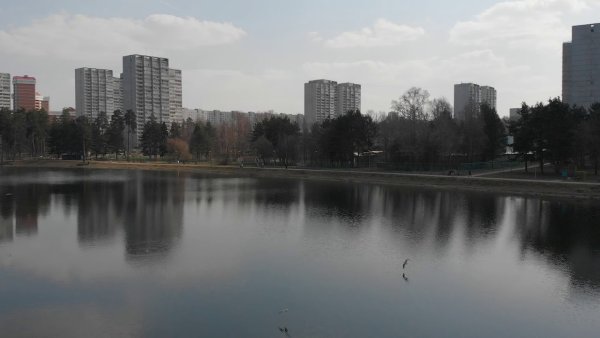 Озеро в Новоподрезково в Зеленоград