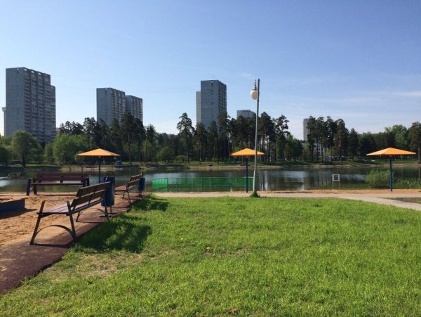 Школьный пруд Зеленоград