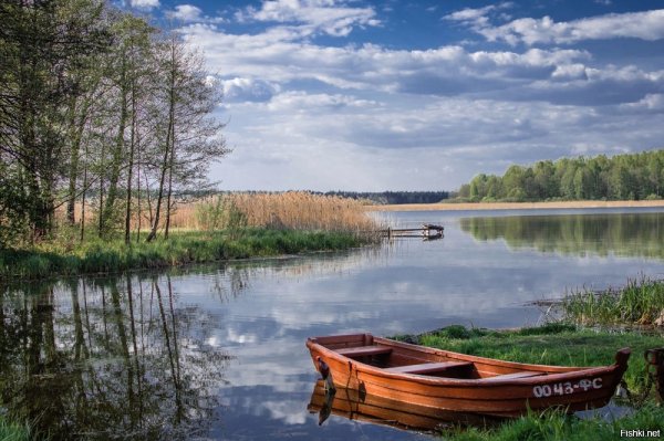 Озеро Ломпадь Калужская область Людиново