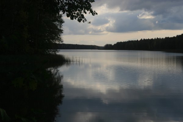 Людиново Никольское на озере