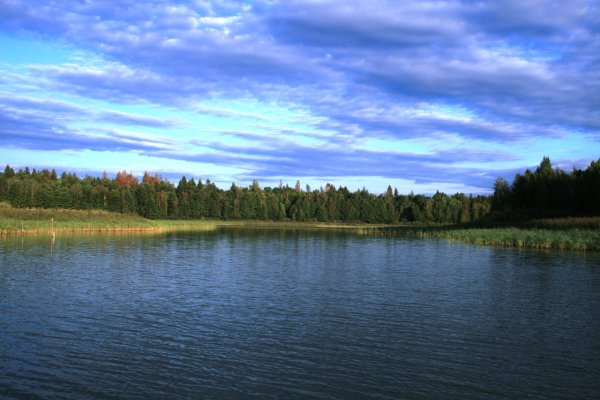 Озеро в Людиново Калужской области