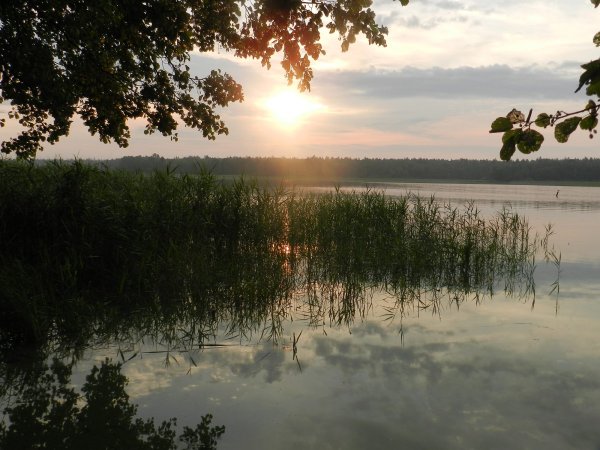 Озеро Ломпадь Калужская область