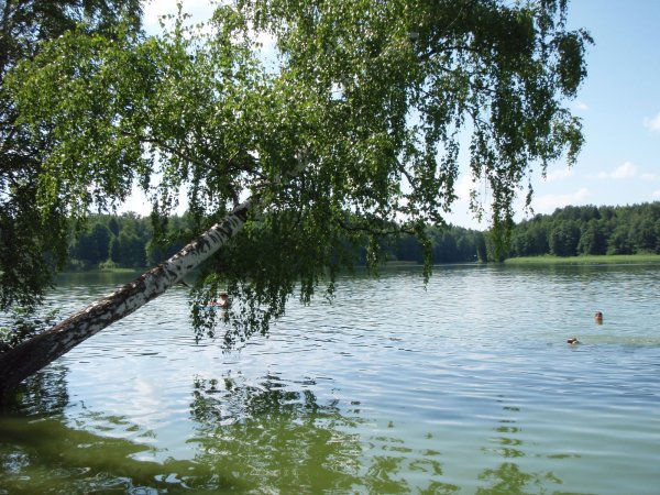 Озеро Ломпадь Калужская область