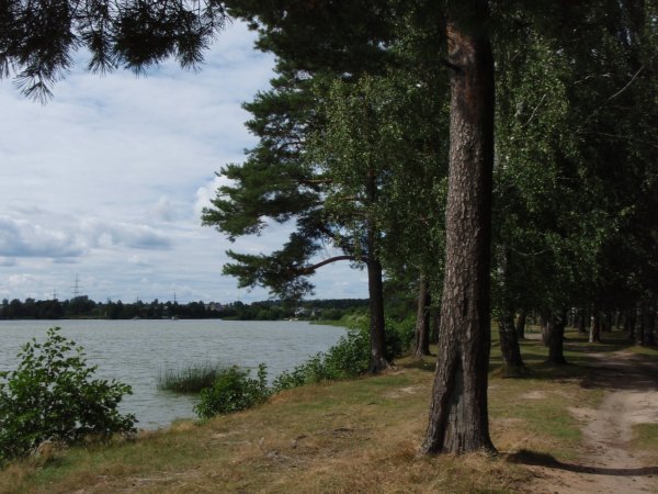 Природа Людиново Калужская область