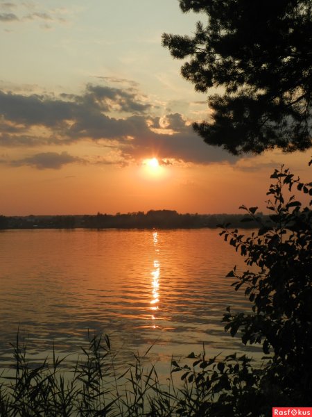 Ломпадь Людиново