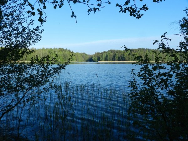 Озеро Ломпадь Калужская область