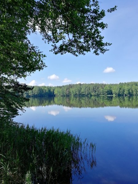 Река Неполодь Людиново