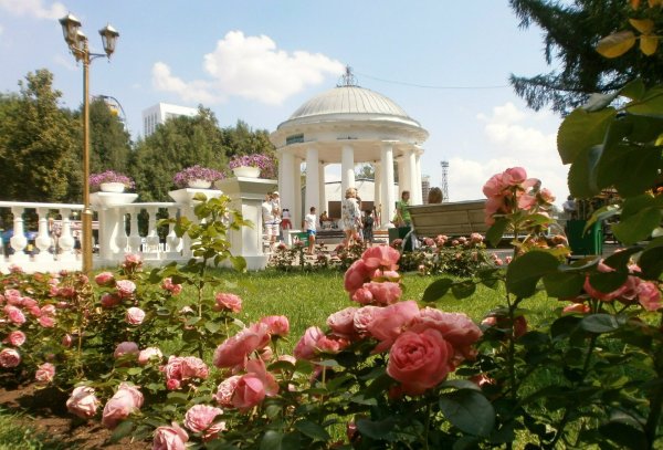 Центральный парк им Горького Пермь