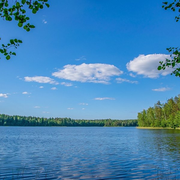 Валдай озеро Селигер