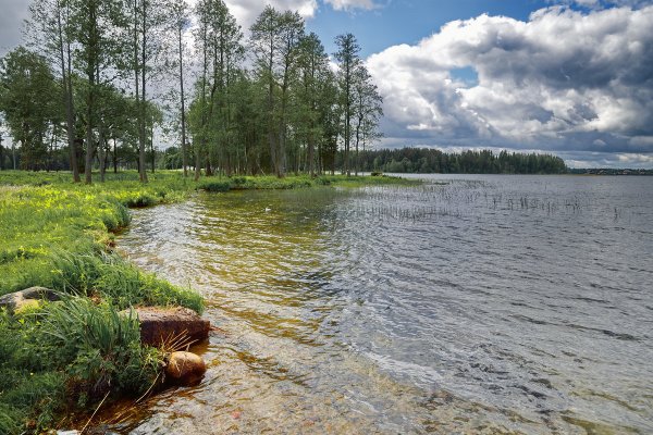 Озеро Валдайское Новгородская