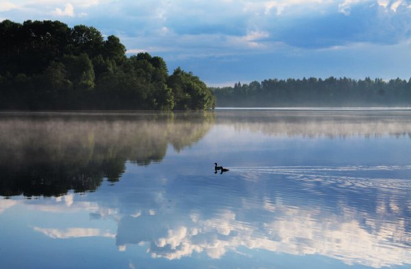 Озеро Дорище Валдайский