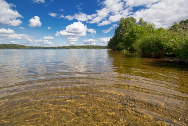 Озеро Валдай Новгородская область
