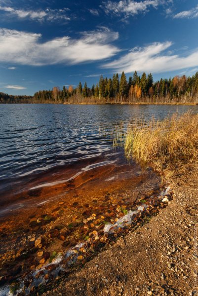 Валдайское озеро Новгородская область