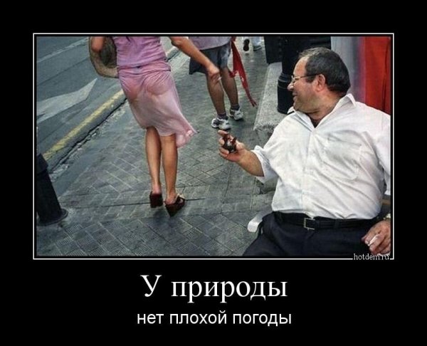 Веселые картинки про плохую погоду