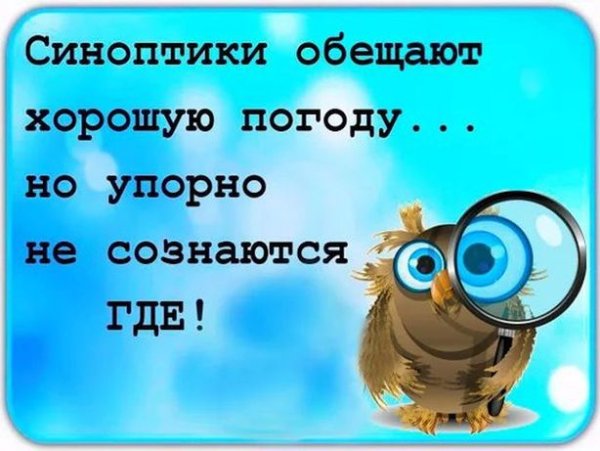 Открытки о погоде прикольные