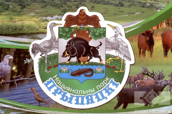 Национальный парк Припятский