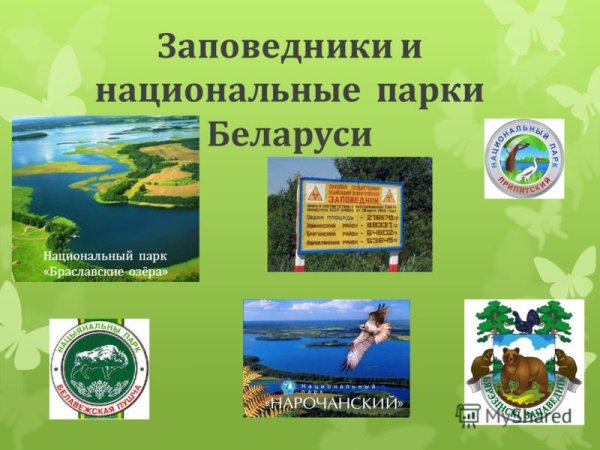 Белоруссия национальный парк и заповедник