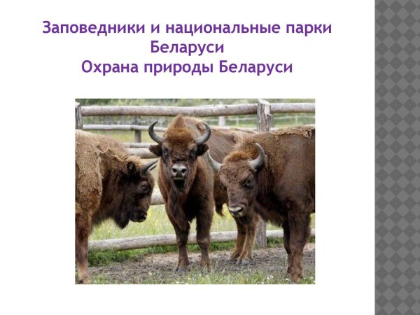 Заповедники и национальные парки Белоруссии