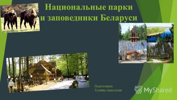 Заповедники Беларуси презентация