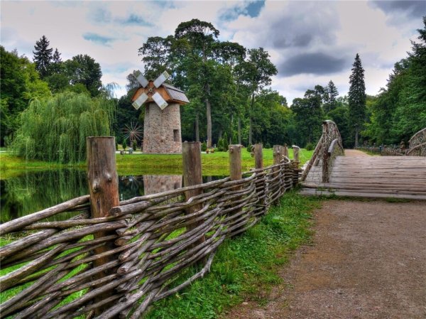 Беловежская пуща Беларусь
