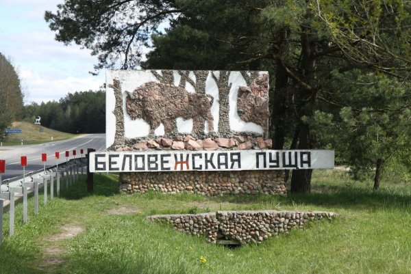 Национальный парк Беловежская пуща Беларусь