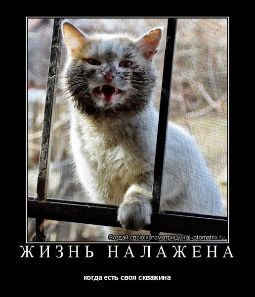 Погода налаживается картинки