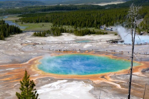 Йеллоустон (озеро)