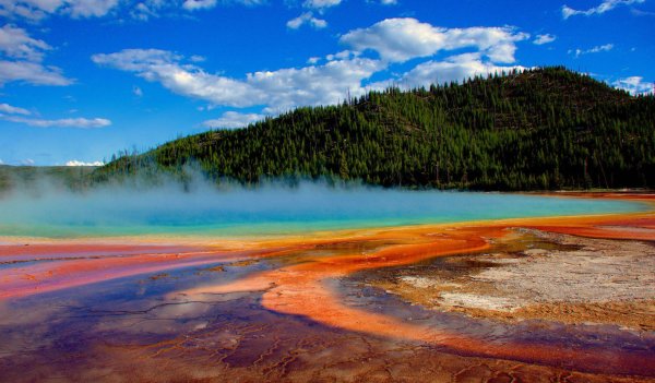 Йеллоустонский национальный парк (Yellowstone)