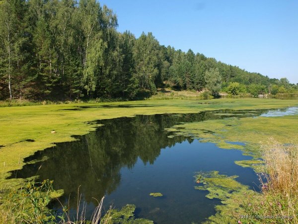 Ломы озеро Ульяновская
