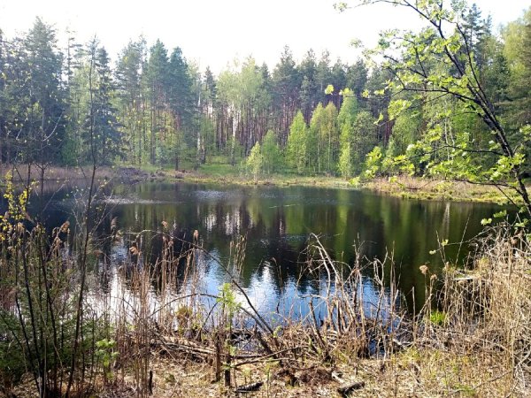 МУХТОЛОВСКИЙ заказник Нижегородской