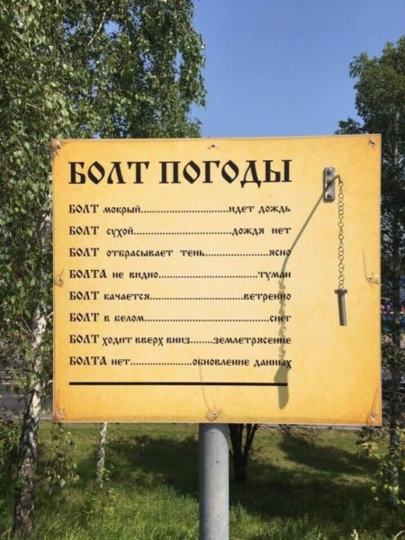 Болт предсказывающий погоду