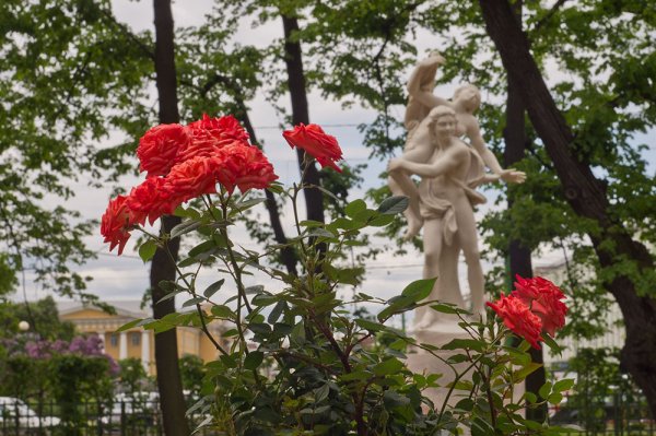 Парк Чаир розарий